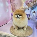 릴리줄리살롱 이미지