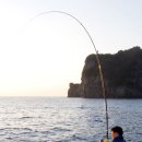 남양 물양장 이미지