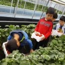 병설농장 이미지