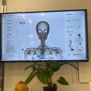 엘레강스 | 강남 통증 집중 관리 l 강남 엘레강스 스파로 등통증 잡은 후기