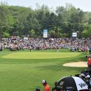 갤러리캣 이미지