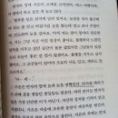 북로망스