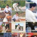 뉴힐링타임 네이버블로그