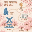 정서진 해넘이 행사 | 경인 아라뱃길 산책기 (청라국제도시역)