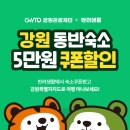 도그앤피플 동물병원 이미지