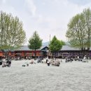 <충주♡여행>오대호 아트 팩토리, 이색 자전거 체험, 폐교 카페, 5월 가볼 만한 곳, 멋진 정크아트