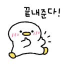 최한빛피아노학원 이미지