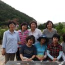 영숙농장 이미지