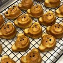 어화댕댕 이미지