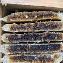 아린농장 이미지