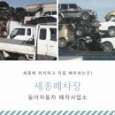 세종 자동차 이미지