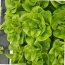 조리농업협동조합 이미지