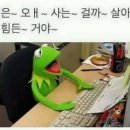 코드 딜라이트 이미지