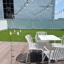 블루샥 동김해 DT점 | 김해 삼정동 애견동반 카페 블루샥 동김해DT점 솔직후기