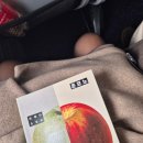 상사서로12길1L-4 | 2025.11 제주여행(1): 떠나요 제주도! (새별오름, 돌고래 투어, 픽업카페)