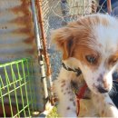 화원면사무소 이미지