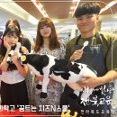 꿈트는 치즈N스쿨(한국치즈과학고등학교)
