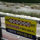 금령로107번길 | 용인중앙시장 맛집 5일장 도래창 구이 솔직후기 (+주차, 웨이팅)