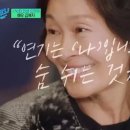 무위자연-태양 이미지