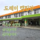 미온수 수영장이 있는 충남 도레미캠핑장 후기 사이트 추천