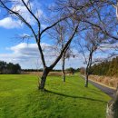 카매니아클럽 | 제주도 노캐디 골프장 추천 2인플레이 가능한 제주 아덴힐cc 예약 후기