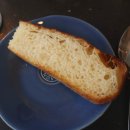 더타이어�� 서래마을점 | 🍝 서초 서래마을 맛집 생면 파스타 전문 레스토랑 <도우룸 서래마을> 디너 코스 후기