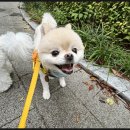 디엠케어 이미지