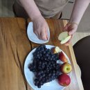 정미목장 Daum카페