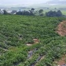 점동농장 이미지