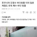 후쿠시마 오염수 바다방출 이어 일본제철도 유독 폐수 바다 방출 이미지