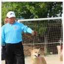 천안상업고등학교 이미지