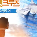케이 돌핀크루즈
