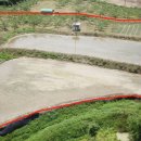 영주4태양광발전소 이미지