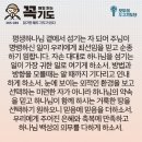 콩깍지 이미지