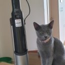 (주)퓨라이트 이미지