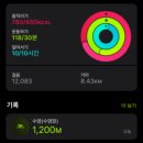 강남대로85길 16 | 여름휴가 다이어트 후기 I 논현역헬스장 I 신논현헬스장 I 뉴온PT필라테스