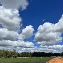 돈이농장 이미지