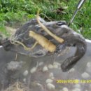 금은농장 이미지