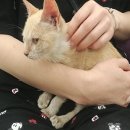 울산 이승진동물병원 이미지