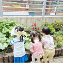 팔복어린이집 | 아이들 성장의 든든한 품, 전주송천동어린이집 팔복어린이집에서 자연과 예술로 채우는 행복 육아 이야기