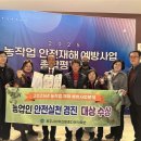 다래실천 이미지