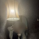 드럭스토어 동행약국 | 해외봉사로 알찼던 8월 기록