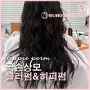 오산미용실 극손상모도 예쁘게 히피펌한 후기 [궁서채 레아 디자이너]