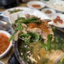 천일흑염소
