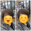 대전 월평동 미용실 추천 염색 메종드 코이