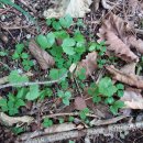 골짜기농장 이미지