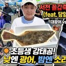 광어
