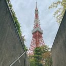 애플트리아일랜드어린이집 | 도쿄 3박 4일 일정 경비 공유 일본 여행 일기