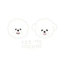 그루밍제주 이미지