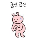케이나인 이미지